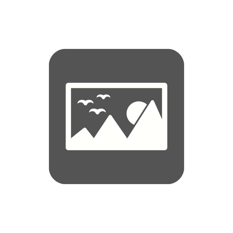 VOE Verification (Employment + Income)